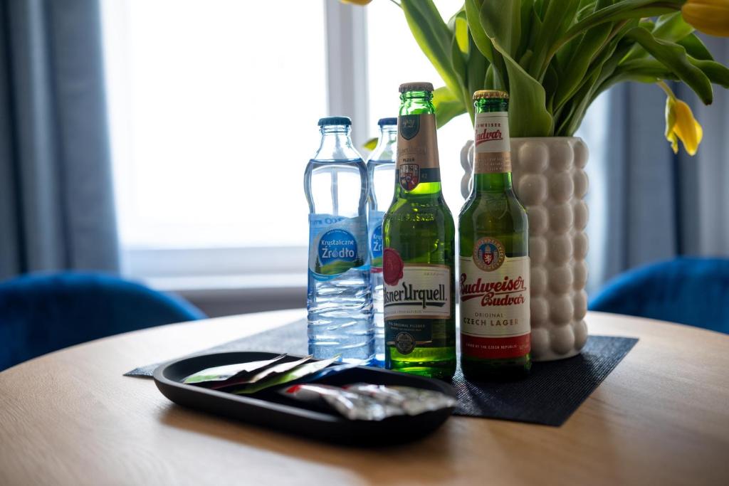 Apartamenty Drevny Kocur - Resim 30