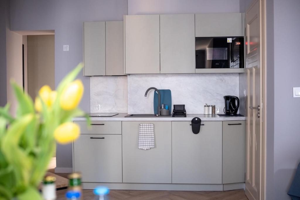 Apartamenty Drevny Kocur - Resim 34