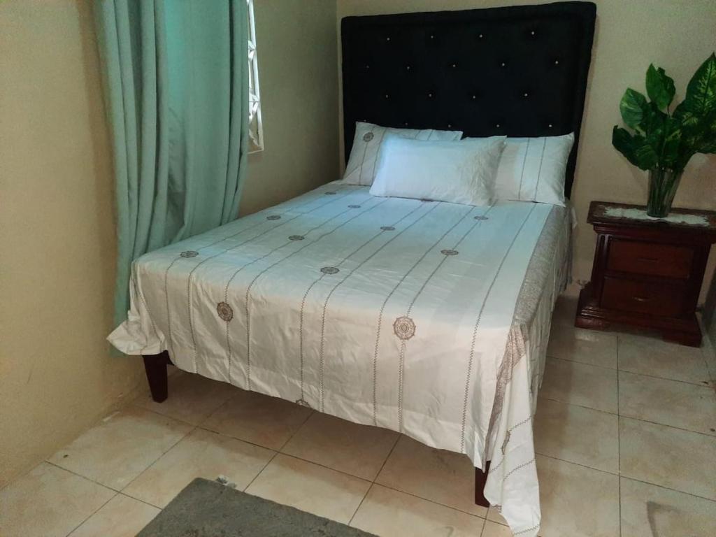 Gallery image of DOUG MANOR flat1 in Portmore