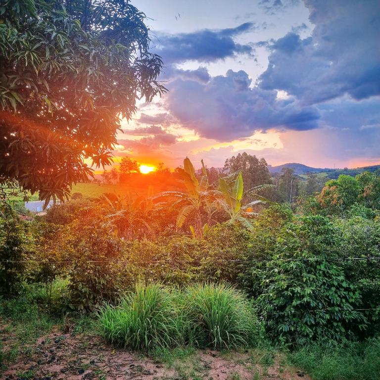 a sunset over a field with bushes and trees at Pousada Vida Nova Taguá Ouro Fino in Ouro Fino
