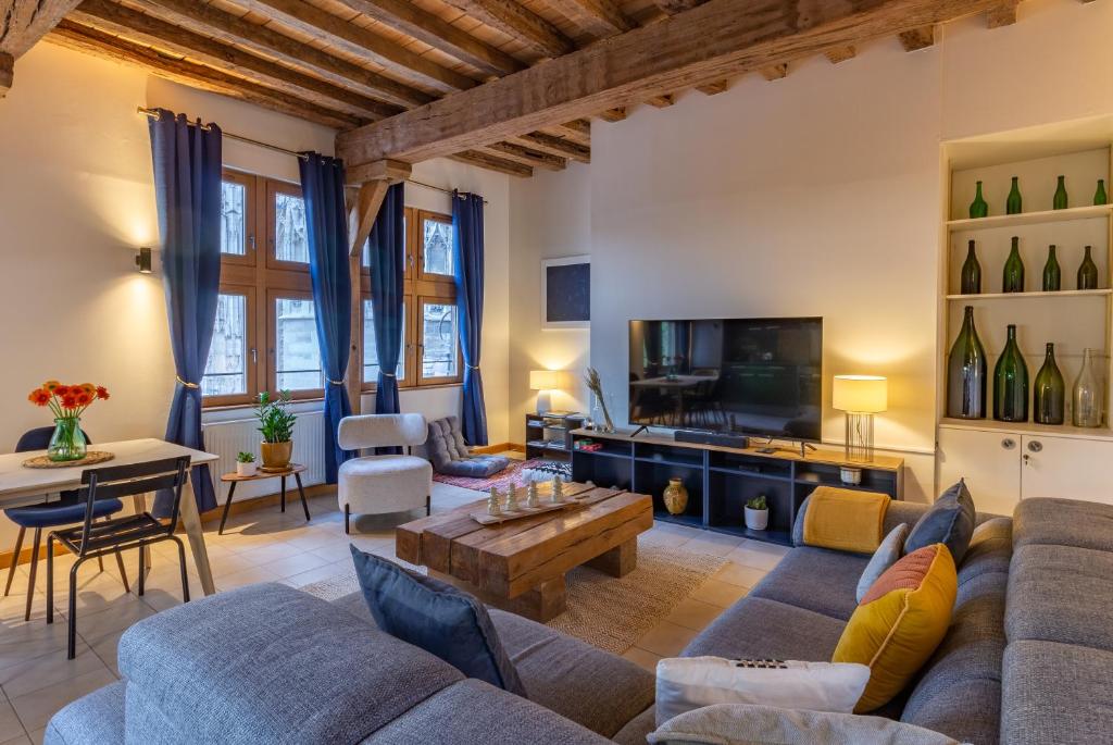 un salon avec un canapé et une télévision dans l'établissement Balthazar, Parking gratuit, Vue privilégiée sur la Cathédrale, WiFi HD, Centre-Ville de Troyes, à Troyes