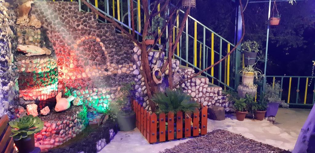 Zahrada ubytování بيت الطبيعة nature house