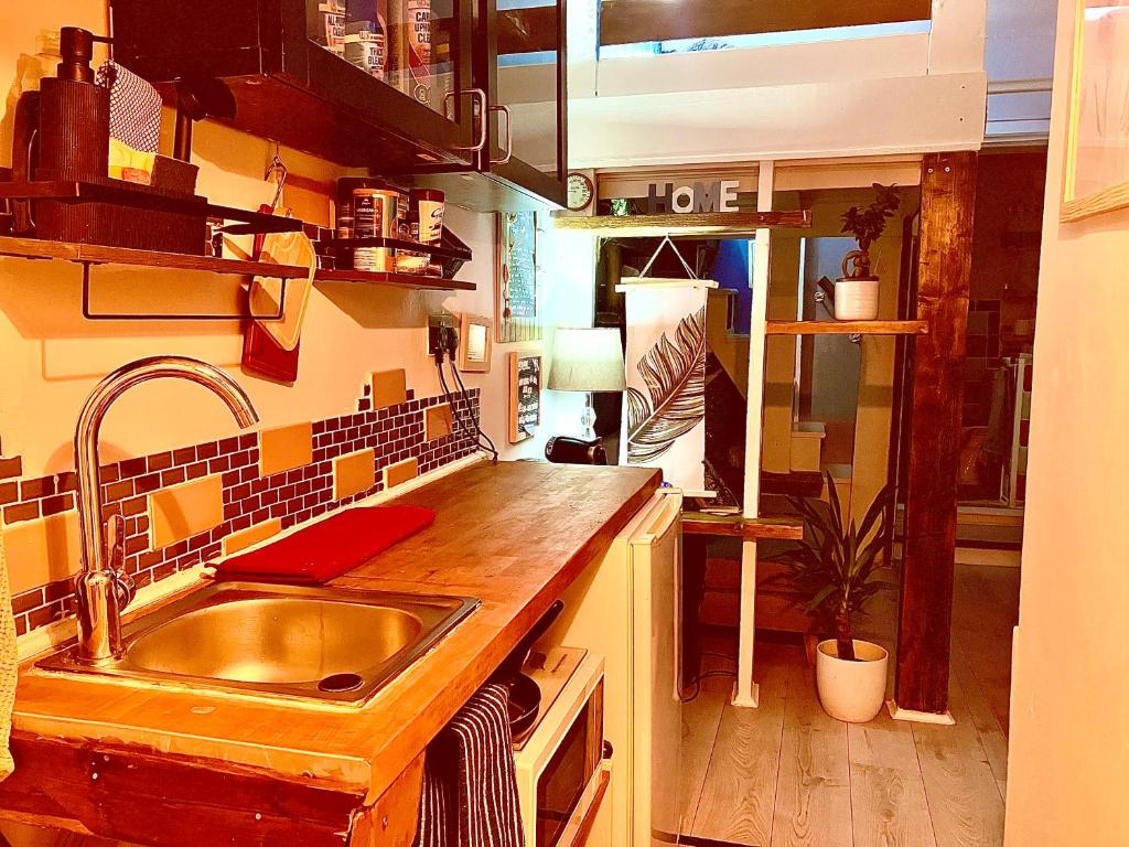 a kitchen with a sink and a counter top at Studio at 39 in Dublin