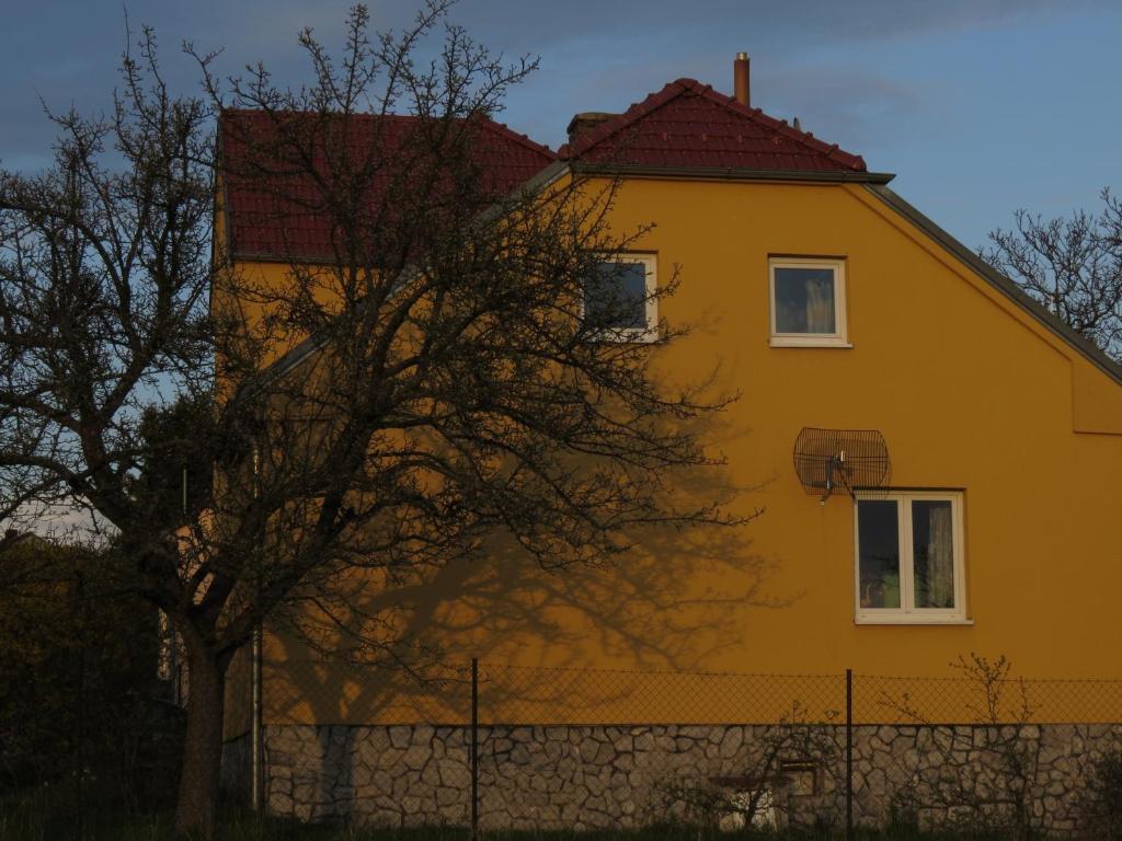 Apartment Nad Punkvou في Těchov: منزل اصفر امامه شجره