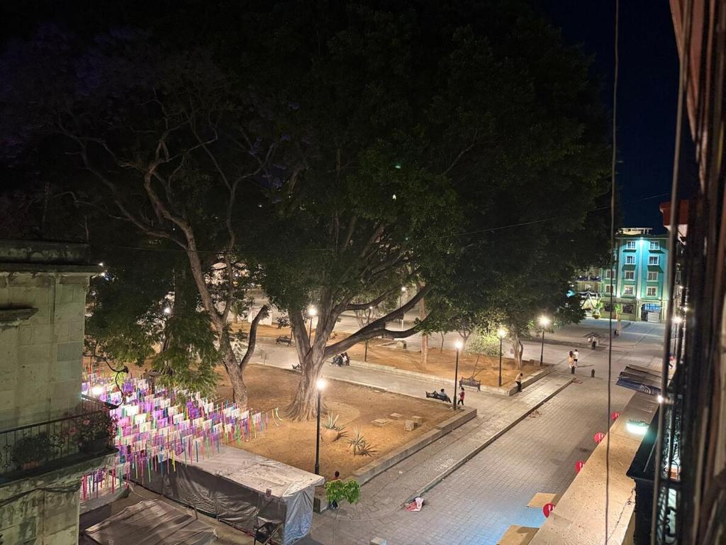 Gallery image of Susurro Oaxaqueño - HiveNB in Oaxaca City