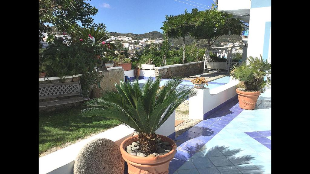 Zahrada ubytování Casa Acqua Marina Ponza