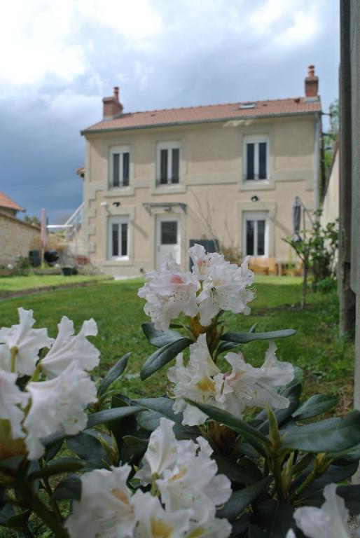 a bunch of white flowers in front of a house at Maison Sorbier, Appartement 1 in Nevers