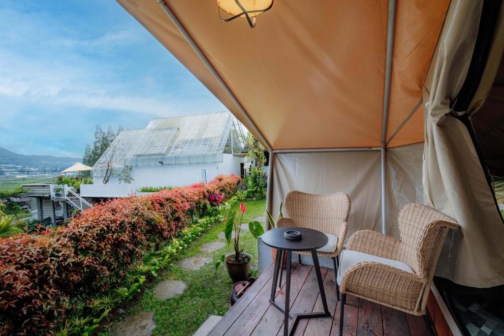 Příroda nedaleko luxury tent