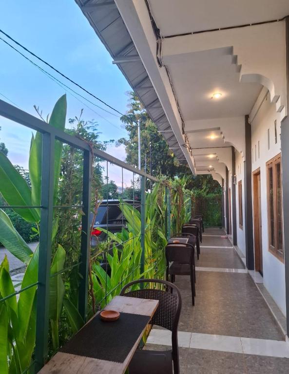 Fotografie z fotogalerie ubytování Guest House d Valeri v destinaci Labuan Bajo