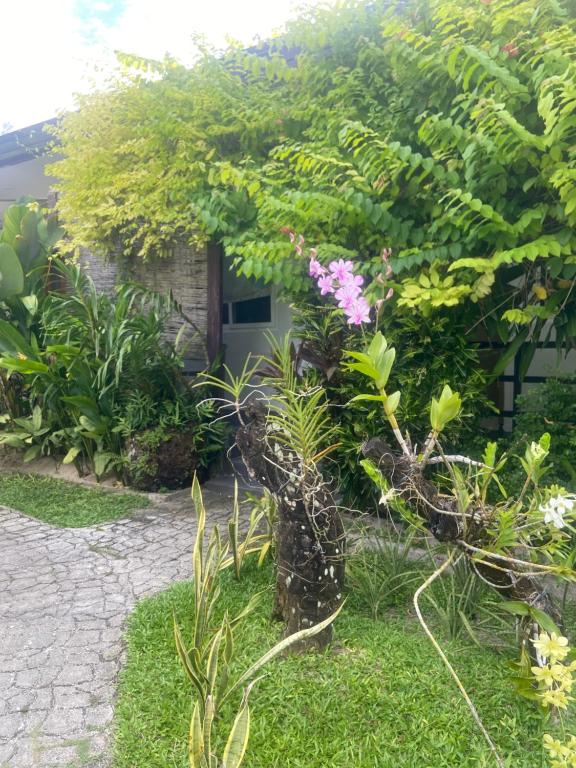 Zahrada ubytování Vivo Siargao