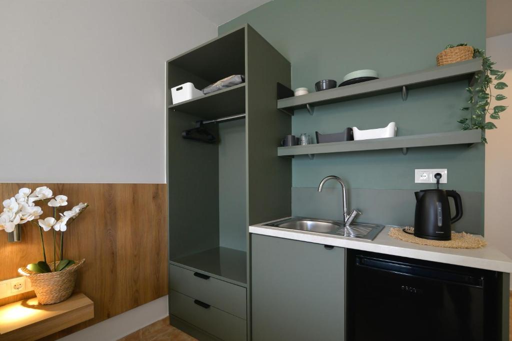 Kuchyň nebo kuchyňský kout v ubytování Hotel Akti