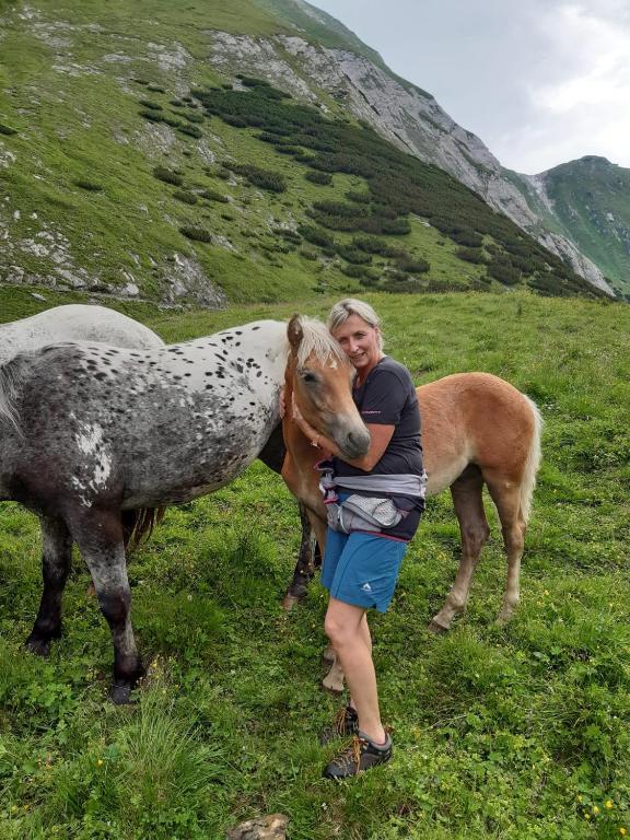 Zvířata v prázdninového domu nebo okolí