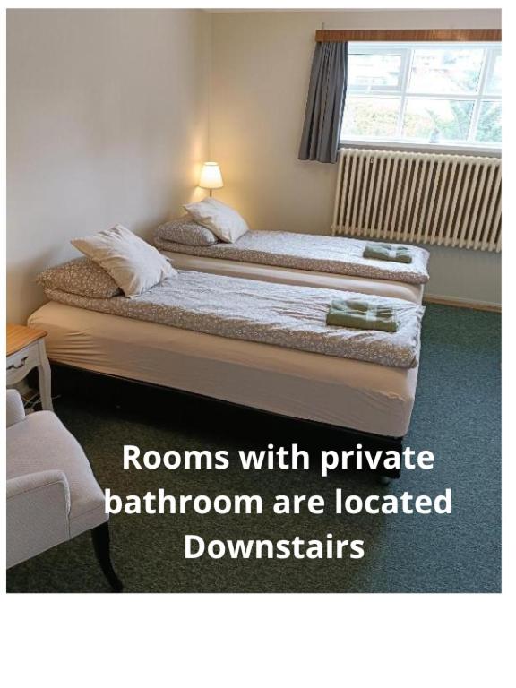Arsalir Guesthouse Vik B&B - Twin Room With Bathroom
