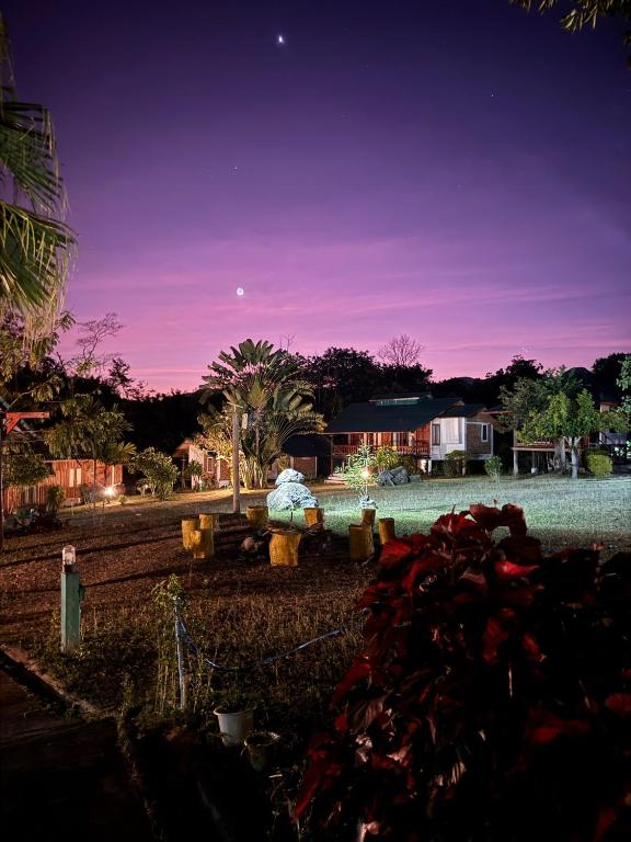 a park with a fire hydrant in a yard at night at The Nest, Pai Love Resort in Thung Yao