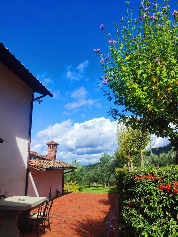 Zahrada ubytování Agriturismo Cafaggio Primo