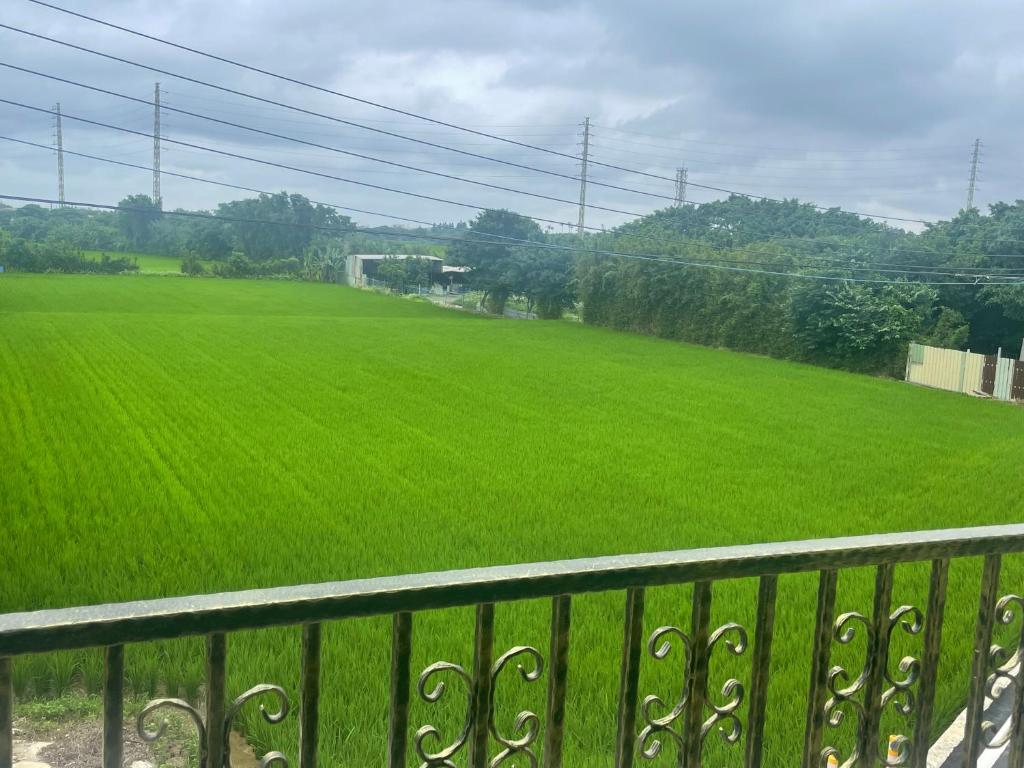 Xinwu遇见126 包栋民宿的围栏旁的一大片绿草