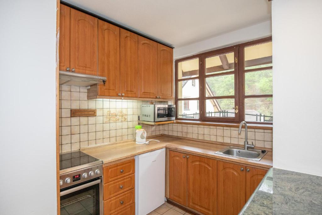 Kuchyň nebo kuchyňský kout v ubytování Resort U Jelena