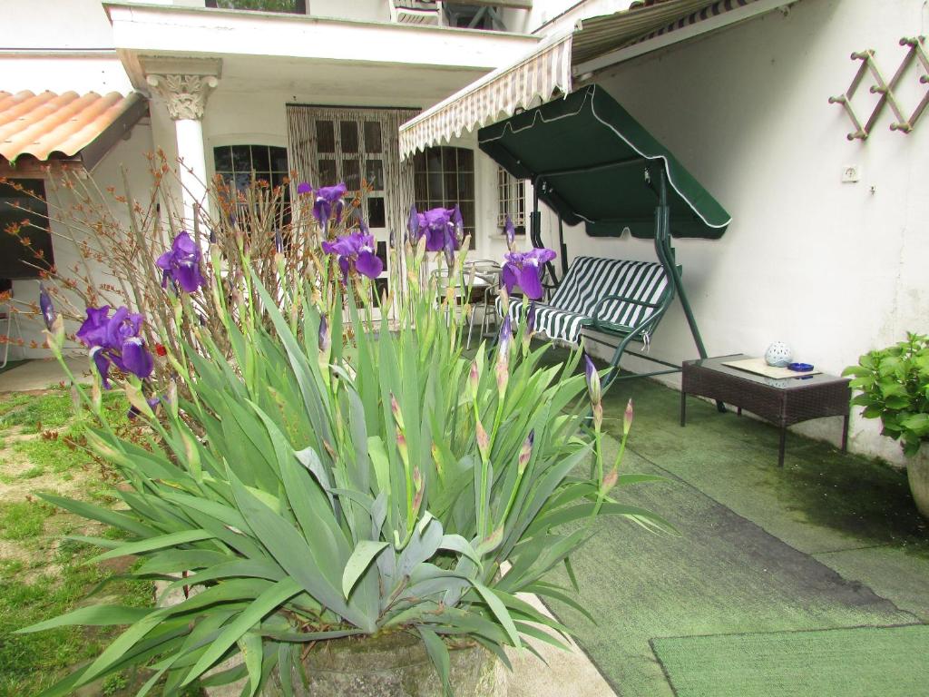 Zahrada ubytování La Terrazza Mombarone