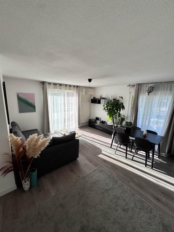 un salon avec un canapé et une table dans l'établissement Charming apartment near Geneva, à Saint-Julien-en-Genevois