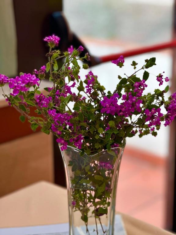 Fotografie z fotogalerie ubytování Hotel Miramare v destinaci Imperia