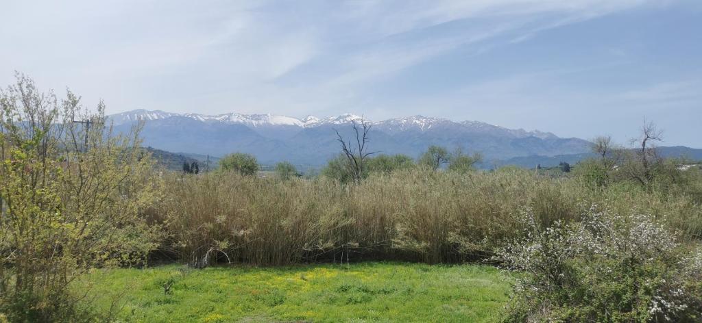 Príroda v okolí apartmánu