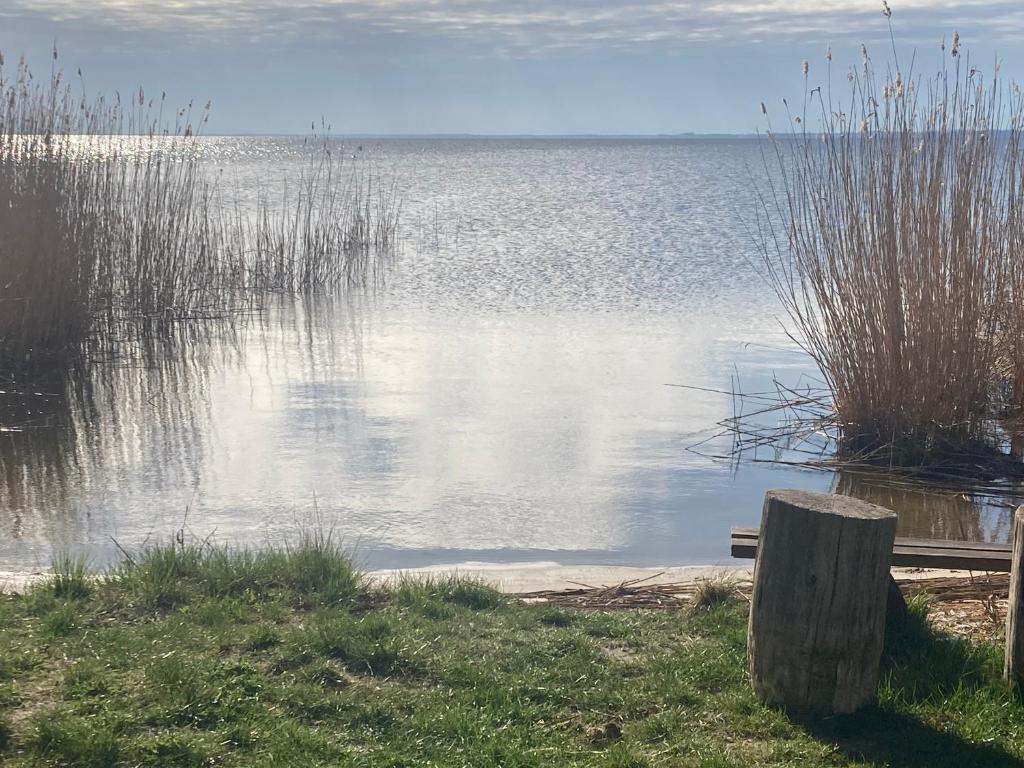 a bench sitting next to a body of water at Auszeit am Haffufer in Wilhelmshof