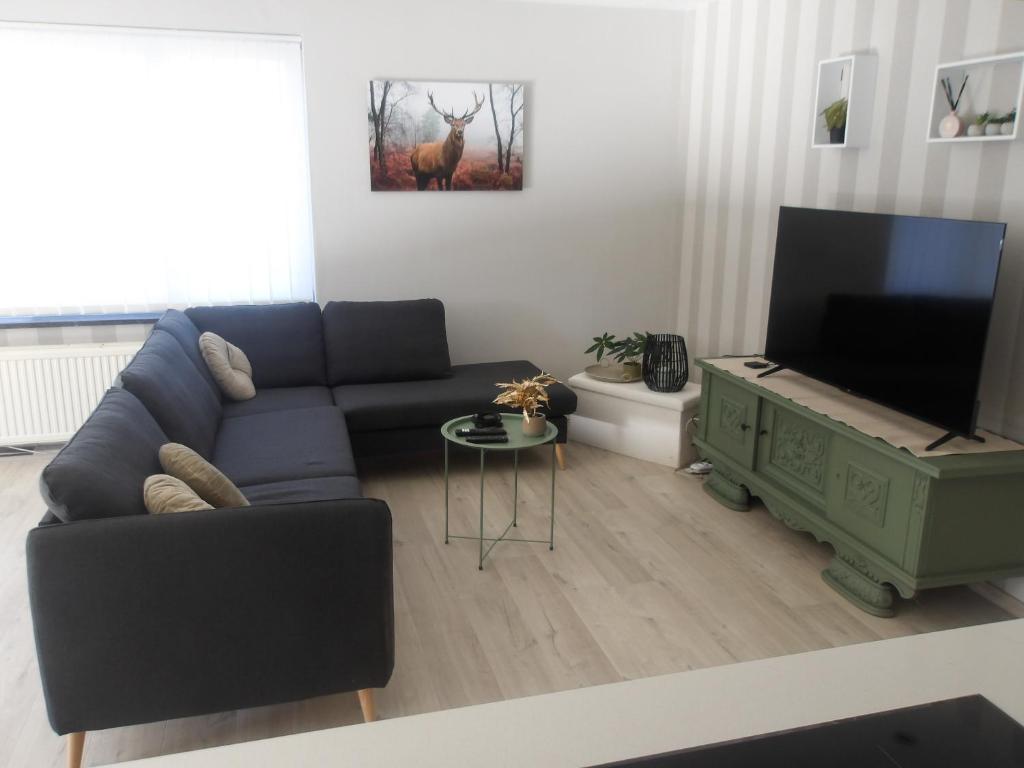 TV a/nebo společenská místnost v ubytování Meerdaal