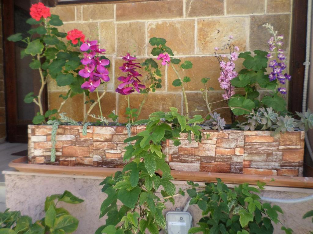 Tina Hotel - Resim 44