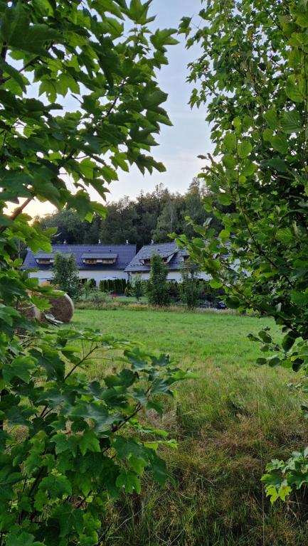 Zahrada ubytování Widokowo - Domki z widokiem na Śnieżkę z Jacuzzi i Sauną