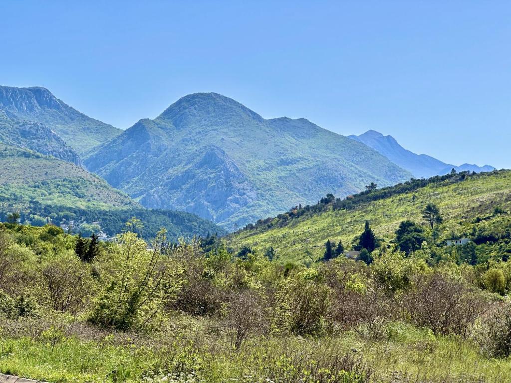 Priroda u blizini pansiona