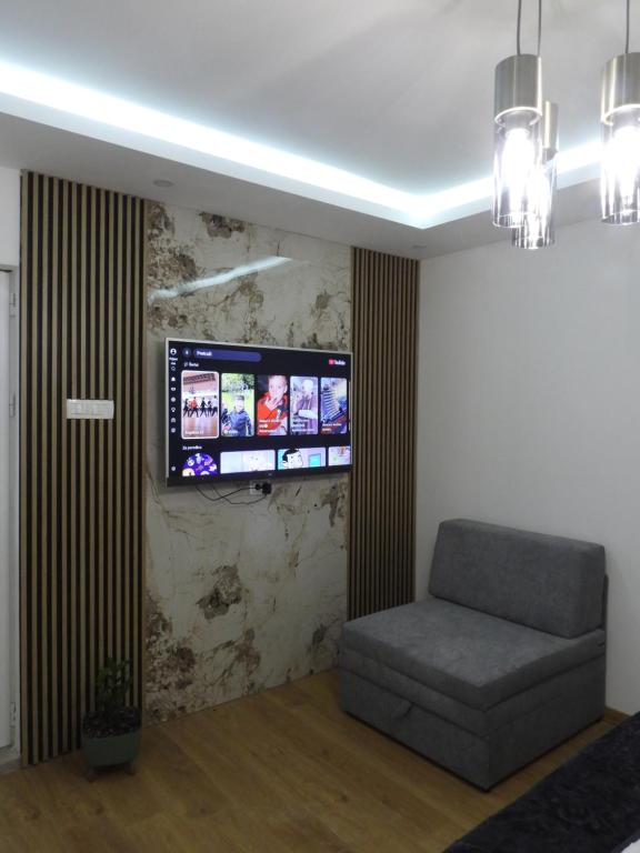 TV o dispositivi per l'intrattenimento presso Boskovic Apartments