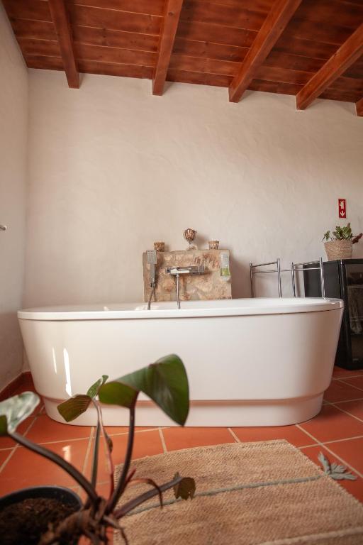 Fotografie z fotogalerie ubytování Herdade da Maceira v destinaci São Luis