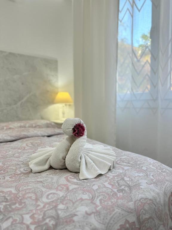 Paraiso de Santa Paula - 12