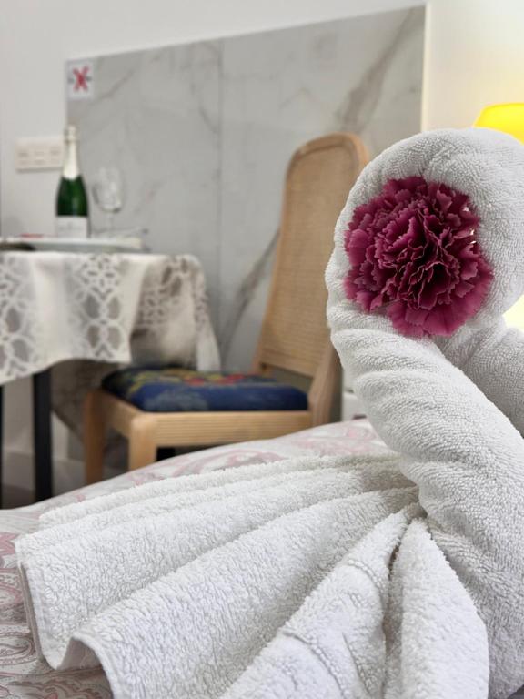 Paraiso de Santa Paula - 4