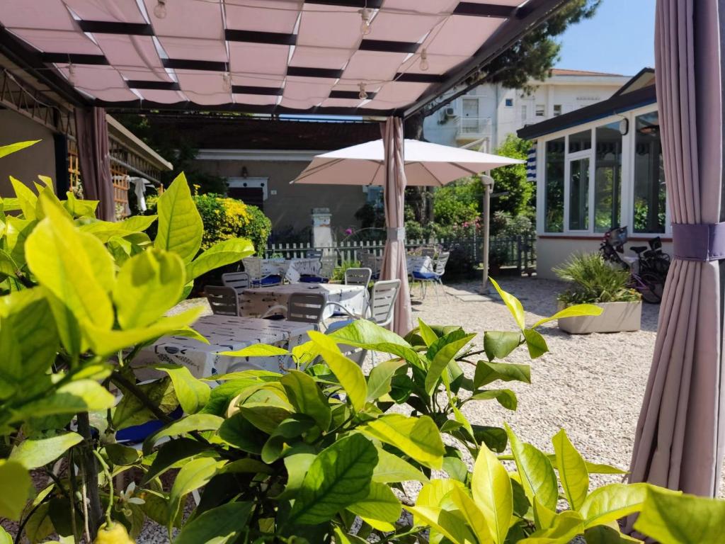 Zahrada ubytování Albergo Conca d'Oro
