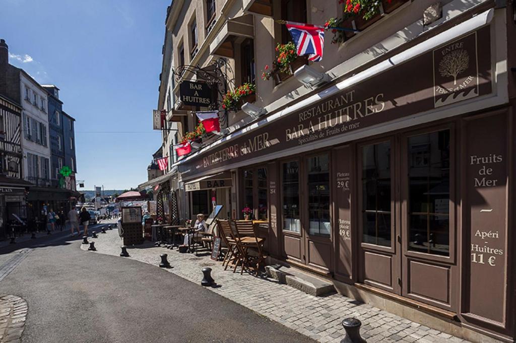 um grupo de aves em pé numa rua ao lado de um edifício em Entre Terre Et Mer em Honfleur