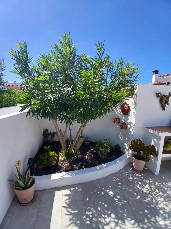 Zahrada ubytování Tramontana Villa