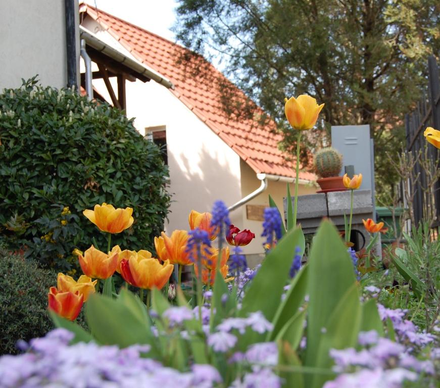 a garden with colorful flowers in front of a house at Maya Guesthouse in Eger