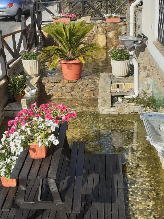 Zahrada ubytování Agua Viva Eco H Wellness Castro Urdiales
