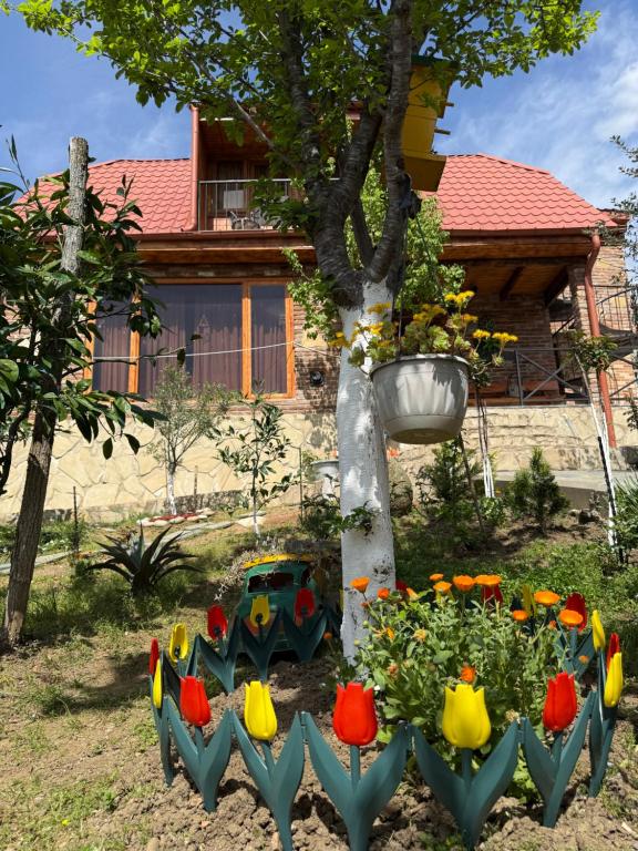 Zahrada ubytování Sunshine House