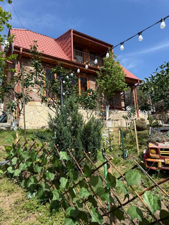 Zahrada ubytování Sunshine House