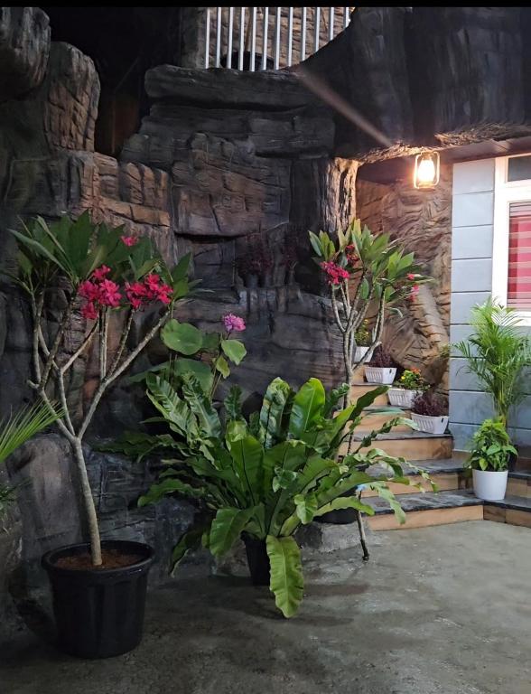 Zahrada ubytování S & B Dreams House