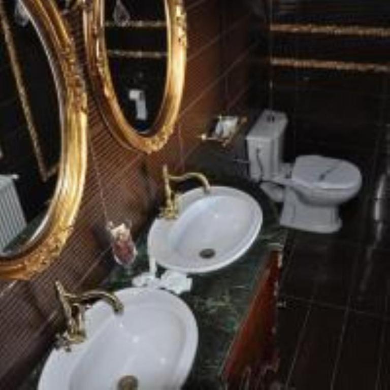 Sinaia Casa cu Farfurii - Resim 17