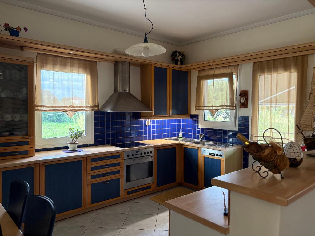 Кухня или мини-кухня в Villa Oneiropagida
