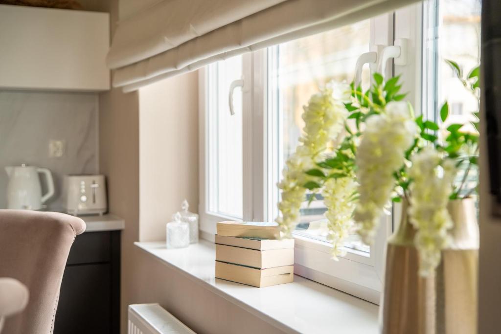 Villa Meteo, FREE PARKING , SAUNA - 7