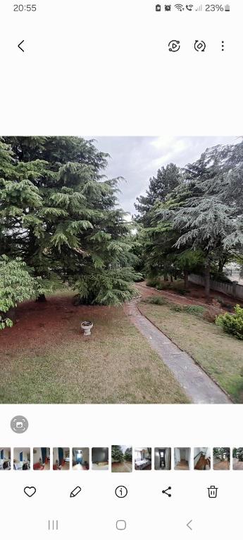 deux photographies d'un parc avec des arbres et un banc dans l'établissement Belle maison proche du futuroscope, à Thuré