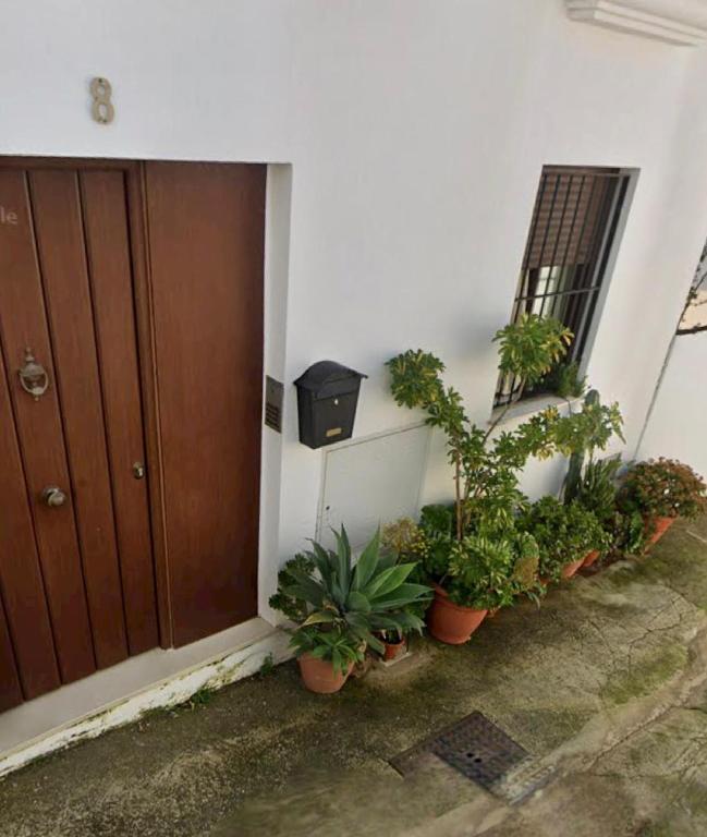 a group of potted plants sitting next to a door at Casa Abuela Cati in Sanlúcar de Guadiana