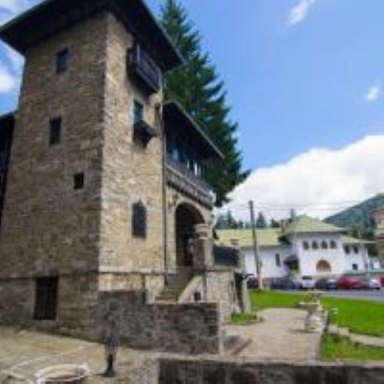 Sinaia Casa cu Farfurii - Resim 9