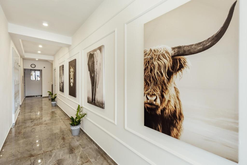 Apartments Ivo Herceg Novi - 10