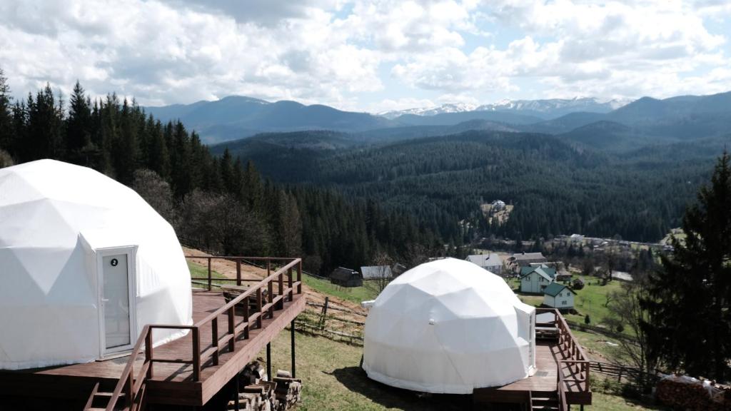 Příroda nedaleko luxury tent